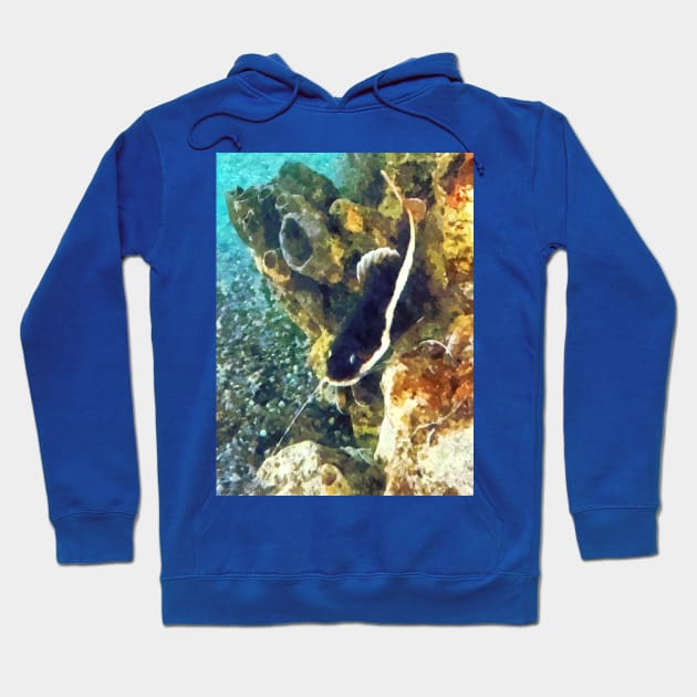 Fish - Catfish Swimming Forward Hoodie by SusanSavad